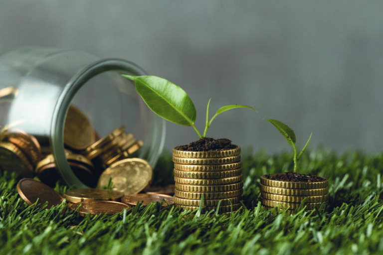 Banki finansują zieloną transformację